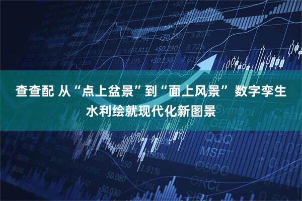 查查配 从“点上盆景”到“面上风景” 数字孪生水利绘就现代化新图景